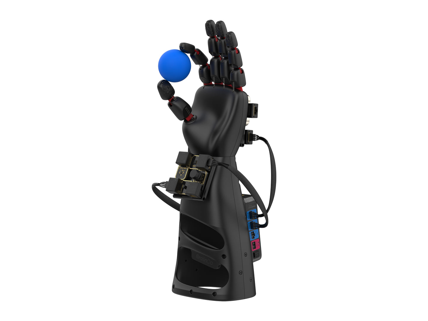 NeuroMaker BioSensor Kit
