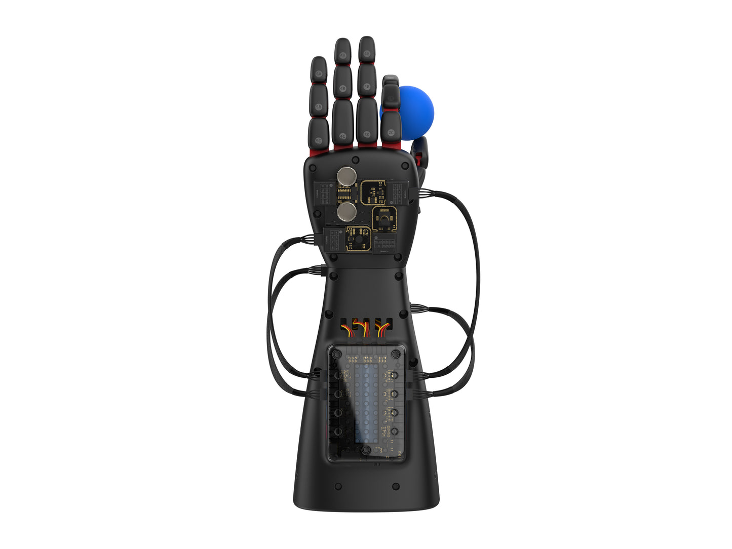 NeuroMaker BioSensor Kit